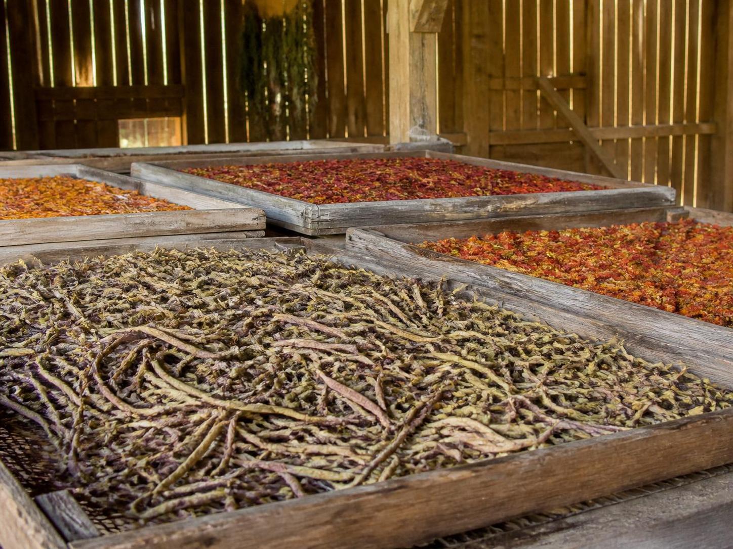 découvrez des méthodes ancestrales efficaces pour conserver vos récoltes d’automne et profiter de leurs saveurs tout au long de l’année.