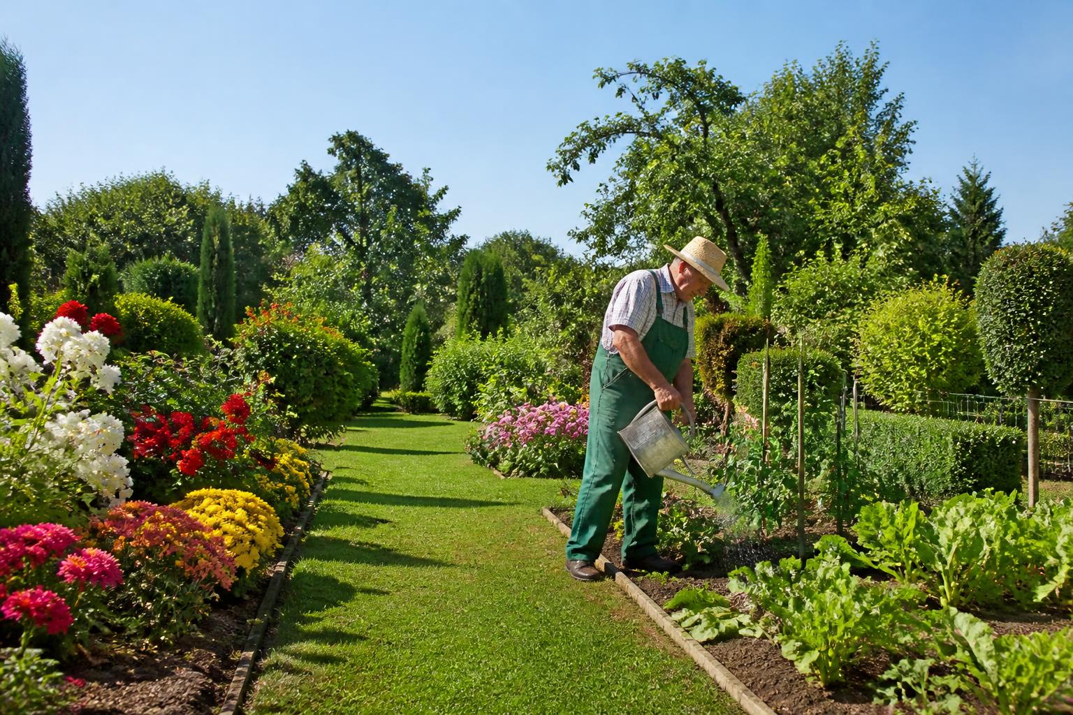 découvrez les meilleurs conseils pour entretenir vos espaces verts et obtenir un jardin épanoui toute l'année. astuces pratiques et techniques de jardinage pour un extérieur harmonieux.