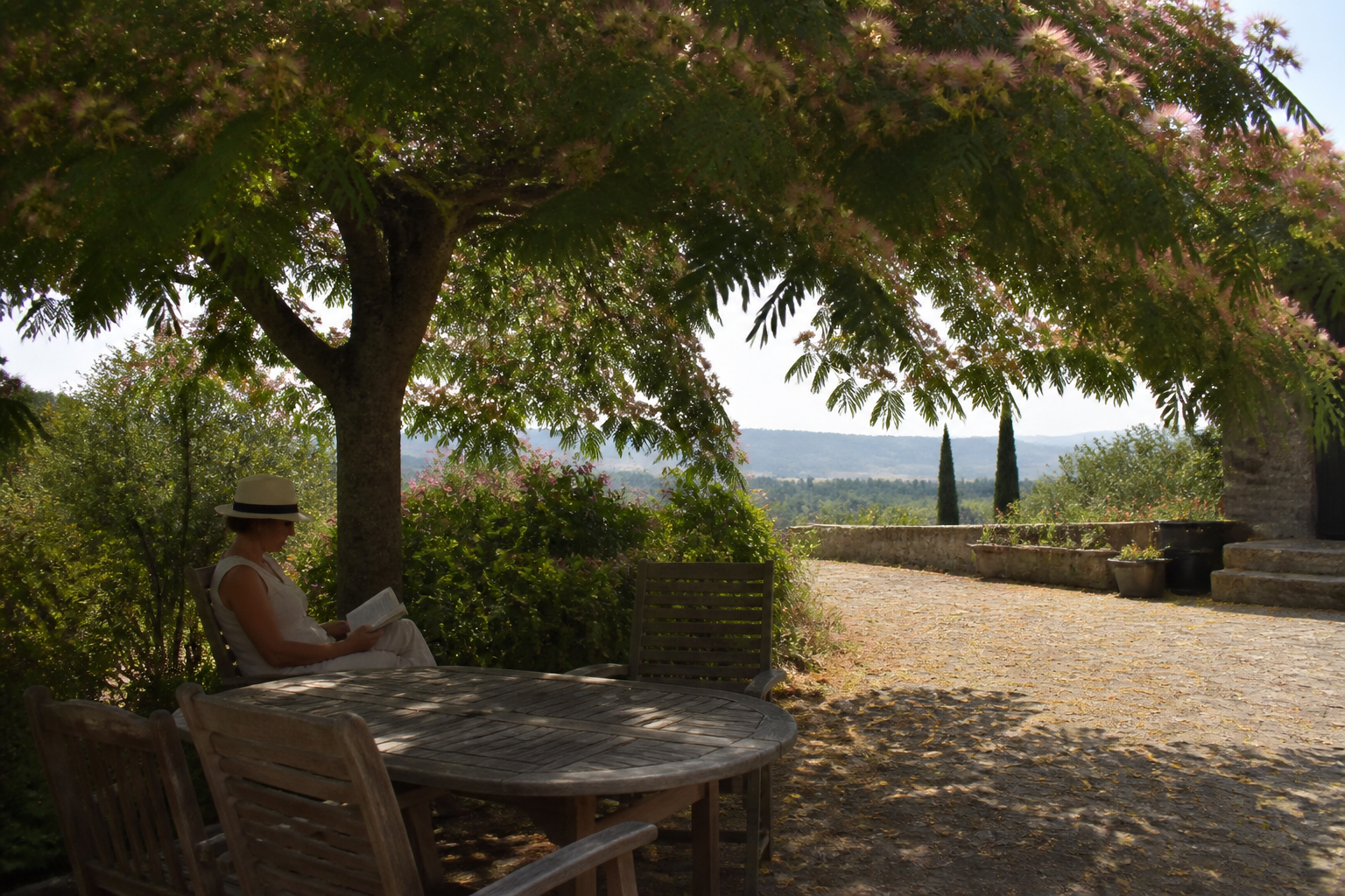 3 arbres qui rafraîchissent naturellement votre jardin : sans climatisation