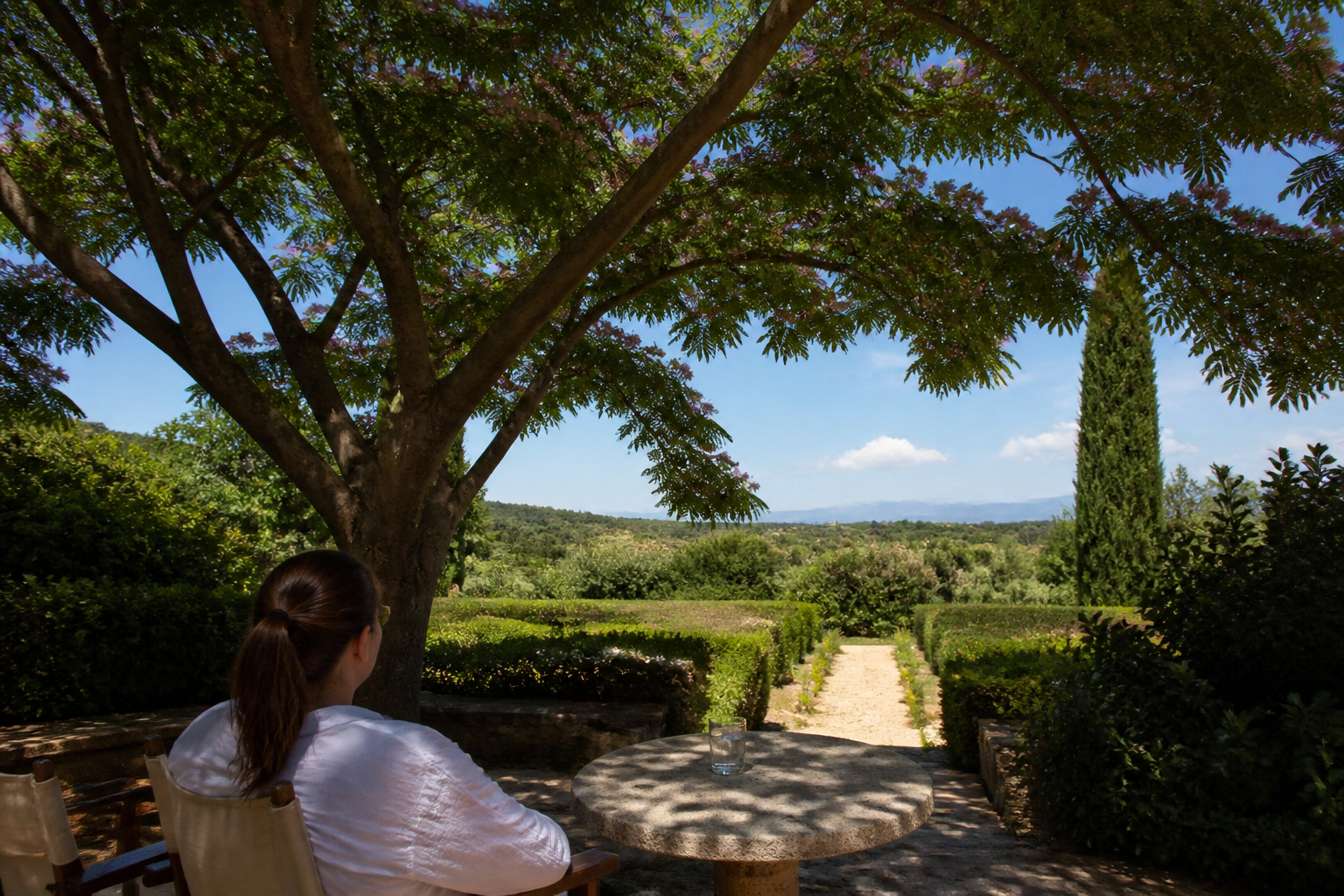 3 arbres qui rafraîchissent naturellement votre jardin : sans climatisation