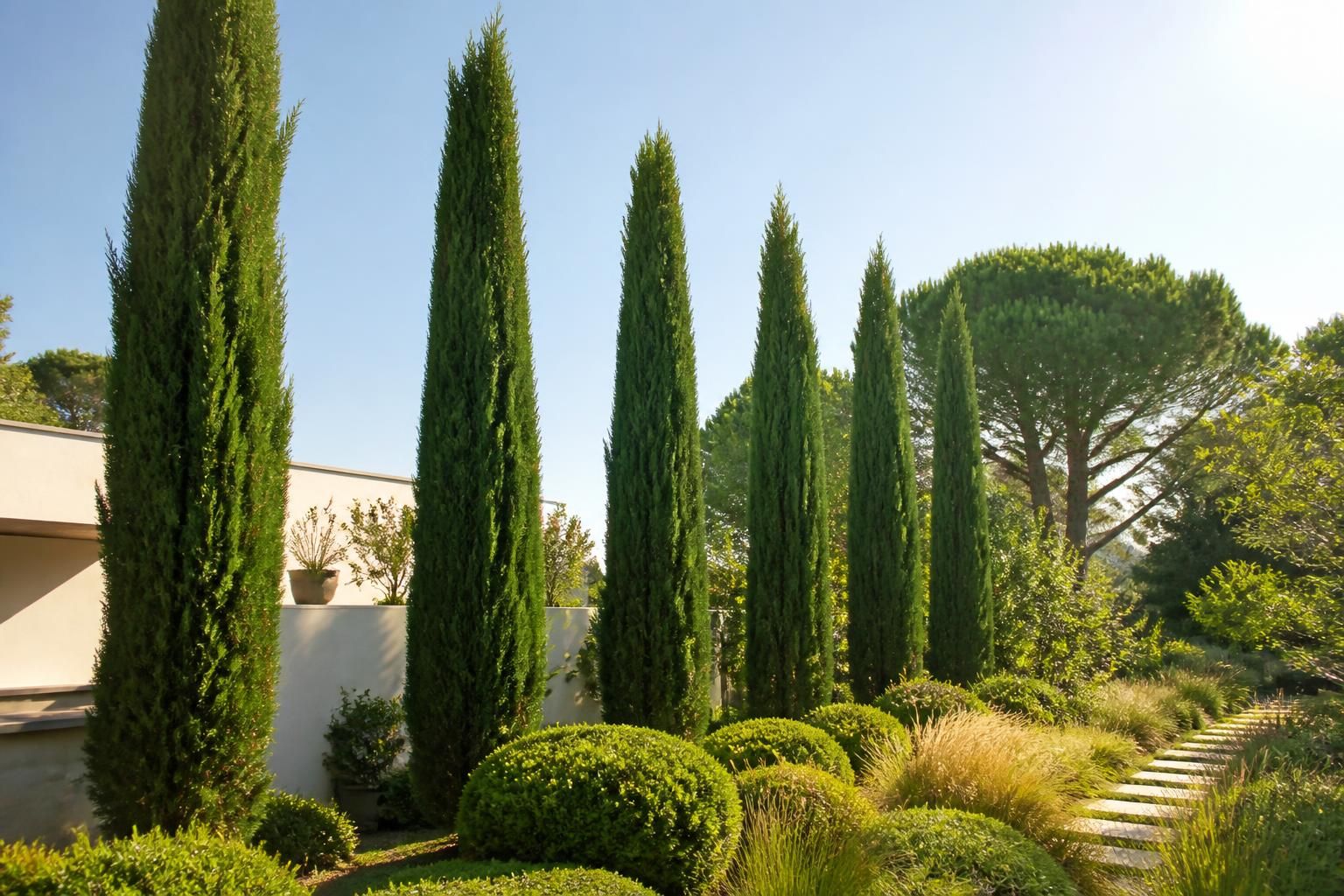 découvrez les avantages d’utiliser un cyprès pour aménager votre jardin : esthétisme, protection contre le vent, facilité d’entretien et durabilité.