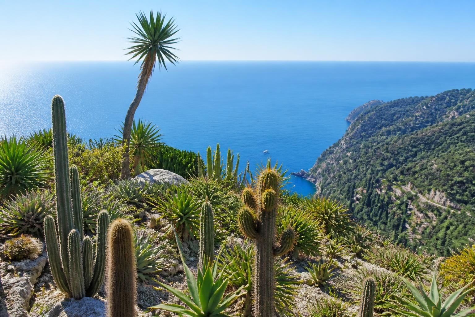 explorez le jardin exotique d’eze, un havre de paix méditerranéen offrant des vues imprenables sur la côte d’azur. découvrez une collection unique de plantes rares dans un cadre idyllique.