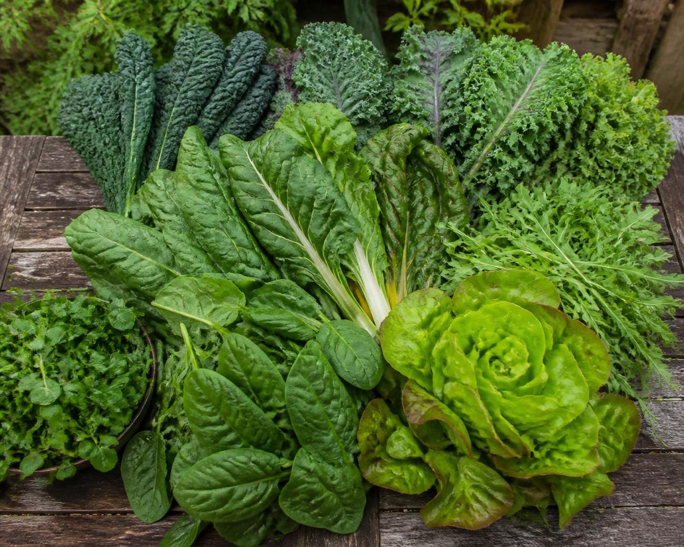 découvrez tout sur les légumes-feuilles : leurs bienfaits pour la santé, leurs saveurs uniques et des conseils pratiques pour les préparer et les cuisiner facilement.